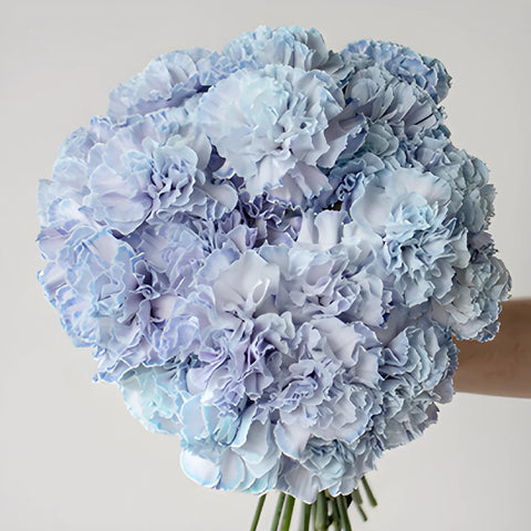 Dusty Blue Wedding Carnation Flowers in a Hand