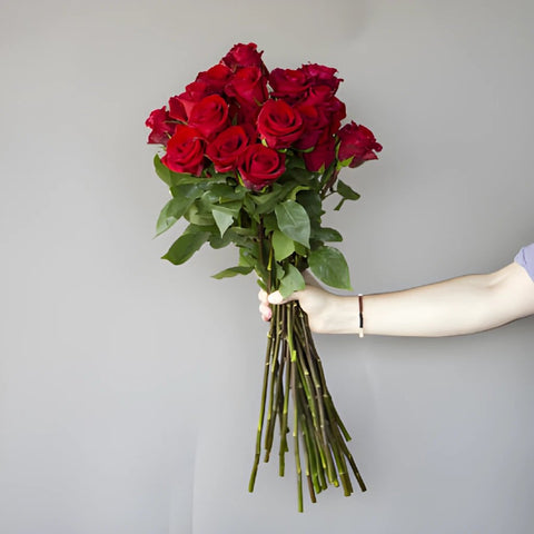 Fresh European Cut Red Roses For Your House