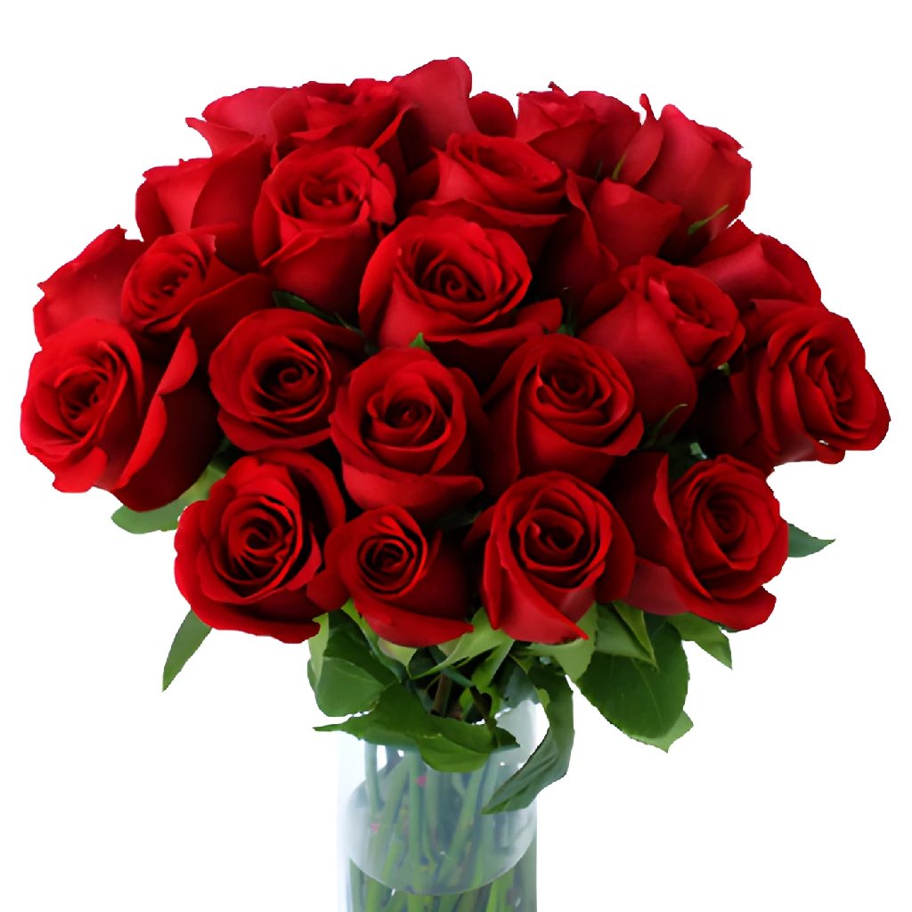 Fresh roses wholesale in FiftyFlowers