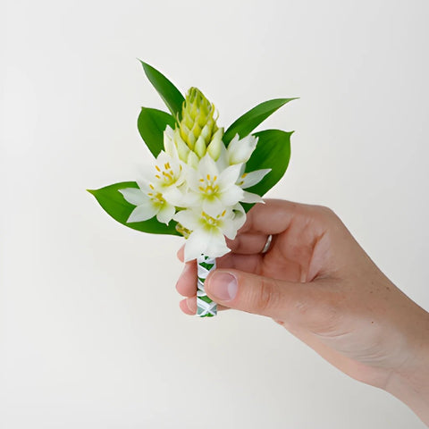 Star of Bethlehem Boutonniere and Corsage Pack