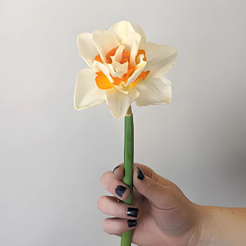 Orange Blossom Daffodil Flower