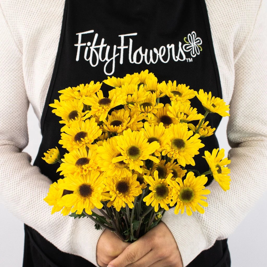 Bulk daisies flowers in FiftyFlowers